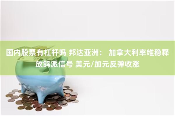 国内股票有杠杆吗 邦达亚洲： 加拿大利率维稳释放鸽派信号 美元/加元反弹收涨