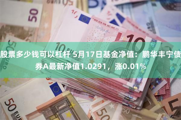 股票多少钱可以杠杆 5月17日基金净值：鹏华丰宁债券A最新净值1.0291，涨0.01%