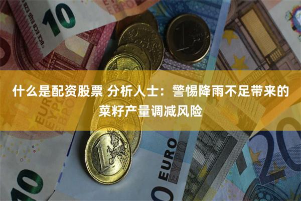 什么是配资股票 分析人士：警惕降雨不足带来的菜籽产量调减风险