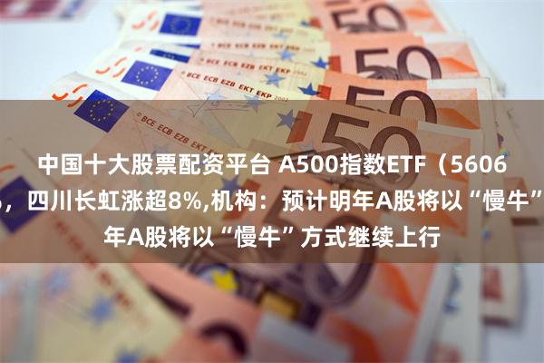 中国十大股票配资平台 A500指数ETF（560610）涨0.73%，四川长虹涨超8%,机构：预计明年A股将以“慢牛”方式继续上行