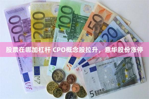 股票在哪加杠杆 CPO概念股拉升，意华股份涨停