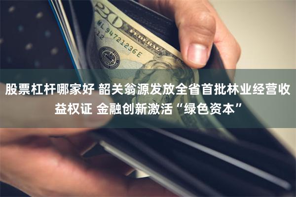 股票杠杆哪家好 韶关翁源发放全省首批林业经营收益权证 金融创新激活“绿色资本”