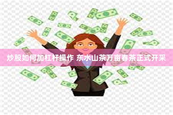 炒股如何加杠杆操作 东水山茶万亩春茶正式开采