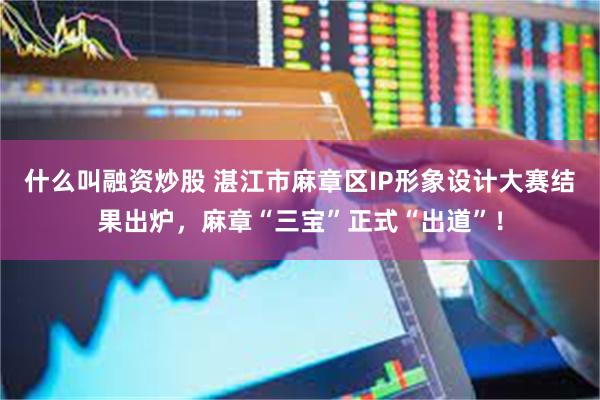 什么叫融资炒股 湛江市麻章区IP形象设计大赛结果出炉，麻章“三宝”正式“出道”！