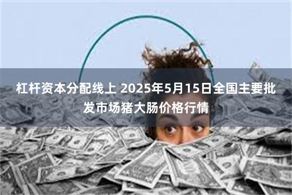 杠杆资本分配线上 2025年5月15日全国主要批发市场猪大肠价格行情