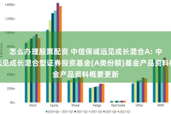 怎么办理股票配资 中信保诚远见成长混合A: 中信保诚远见成长混合型证券投资基金(A类份额)基金产品资料概要更新