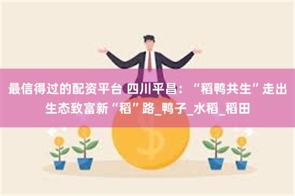 最信得过的配资平台 四川平昌：“稻鸭共生”走出生态致富新“稻”路_鸭子_水稻_稻田