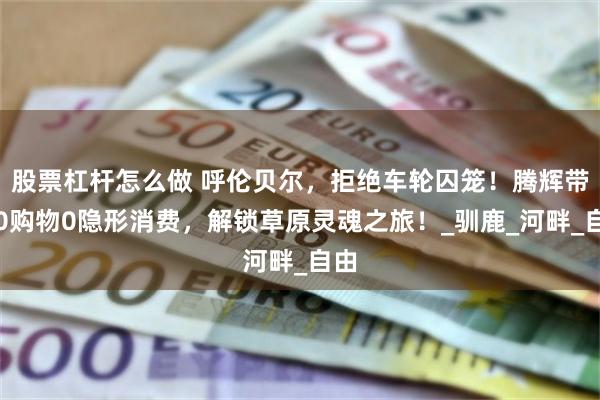 股票杠杆怎么做 呼伦贝尔，拒绝车轮囚笼！腾辉带你0购物0隐形消费，解锁草原灵魂之旅！_驯鹿_河畔_自由