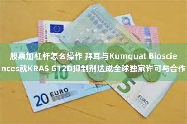 股票加杠杆怎么操作 拜耳与Kumquat Biosciences就KRAS G12D抑制剂达成全球独家许可与合作