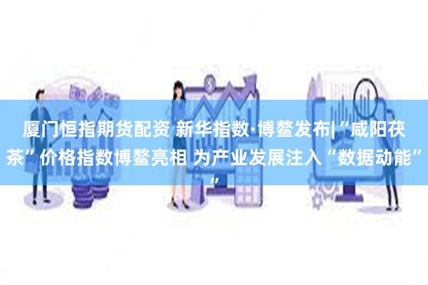 厦门恒指期货配资 新华指数·博鳌发布|“咸阳茯茶”价格指数博鳌亮相 为产业发展注入“数据动能”